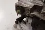 thumbnail-8