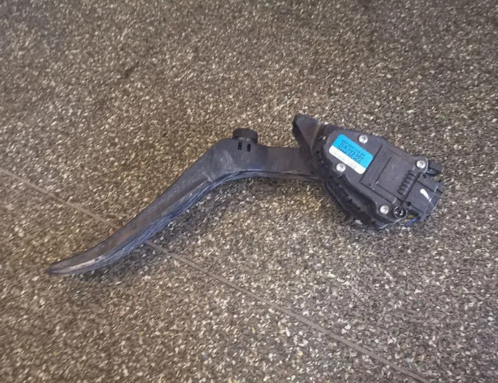 VOLKSWAGEN Touareg 1 generation (2002-2010) Πεντάλ γκαζιού 7L6723507 33855117