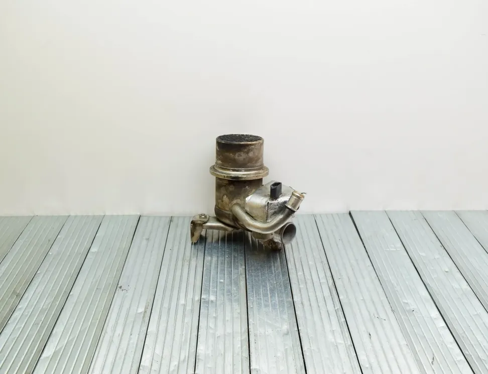 SEAT Leon 3 generation (2012-2020) Ψύκτη EGR 04L131512 25313647