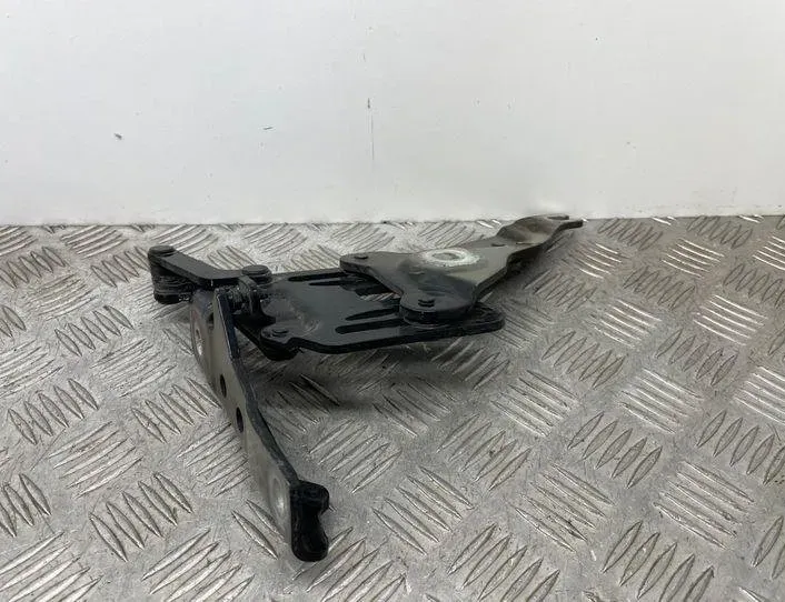 BMW X5 E70 (2006-2013) Δεξιός Τσουκνίδα Καπό 7148347 21451375