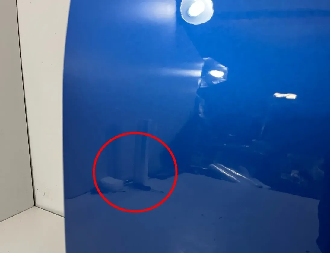 BMW 2 Series Grand Tourer F46 (2018-2023) Δεξιά Εμπρός Πόρτα 7392312,7316730,7326168,7298826,7281934,7396306 32765231