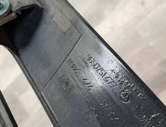 PEUGEOT 207 1 generation (2006-2009) Διακοσμητικό φως πινακίδας 9650751477 34995741