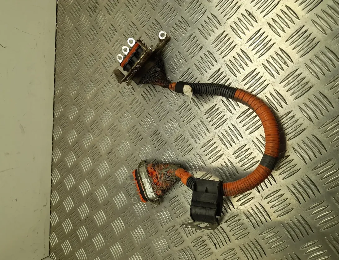 TOYOTA Prius 3 generation (XW30) (2009-2015) Άλλες καλωδιώσεις G21484704 23486287