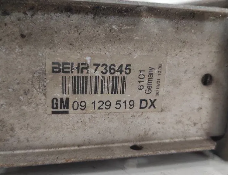 OPEL Zafira B (2005-2010) Ραδιατόρας μεταξοκλαδίσματος 73645,6101,09129519 17112258