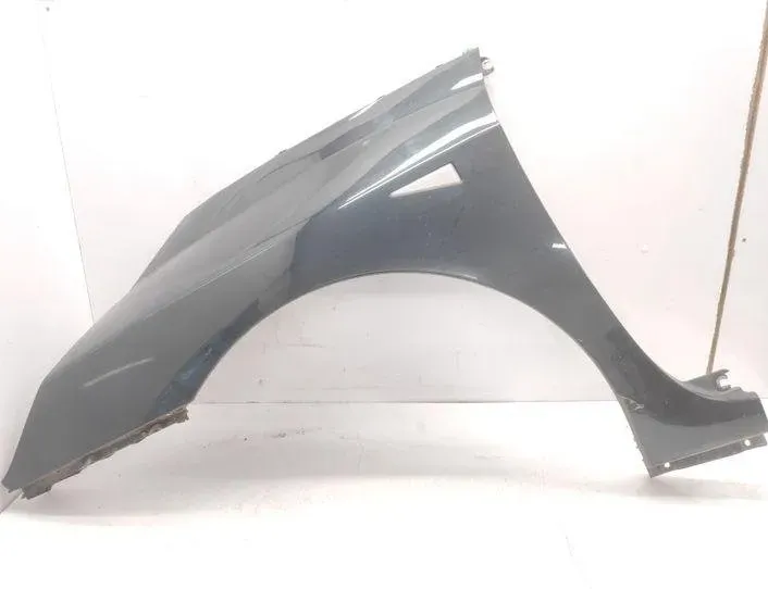 RENAULT Espace 4 generation (2002-2014) Αριστερό εμπρός φτερό NV903 20750053