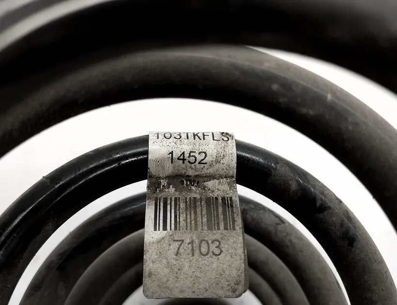 OPEL Mokka 1 generation (2012-2015) Πίσω αριστερή ελατήριο 95107103 25842398