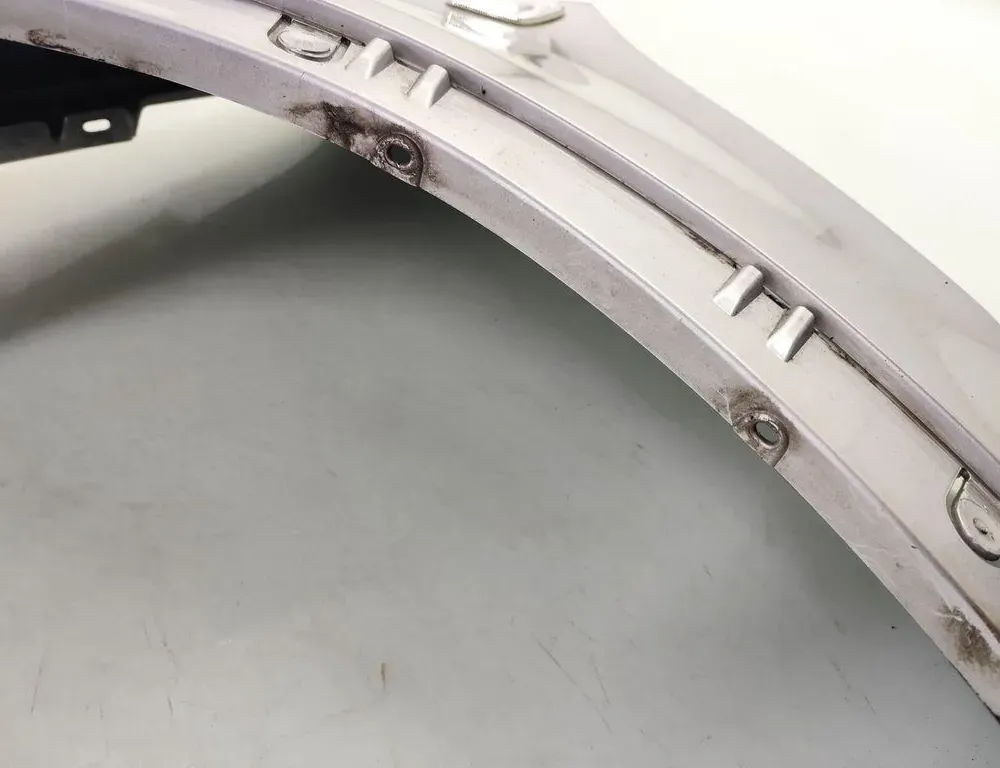 BMW X5 E70 (2006-2013) Δεξί εμπρός φτερό 33231988