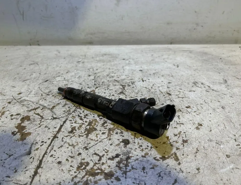 RENAULT Megane 2 generation (2002-2012) Εκκεντροφόρο 0445110110B 35021207