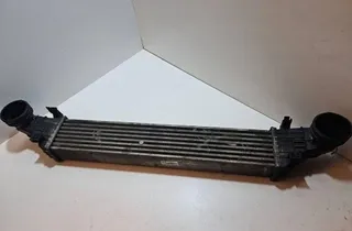 MERCEDES-BENZ E-Class W211/S211 (2002-2009) Ραδιατόρας μεταξοκλαδίσματος A2115001102 31061561