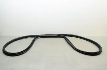 BMW M2 F87 (2015-2022) Καουτσούκ μπροστινής δεξιάς πόρτας 7267912 25834396
