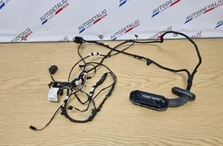 BMW 5 Series F10/F11 (2009-2017) Καλωδίωση πίσω δεξιάς πόρτας 9256016,THF10F11,5357104 32247783