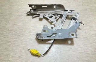 AUDI Q5 8R (2008-2017) Δεξιός Τσουκνίδα Καπό 80A823302D 22246341