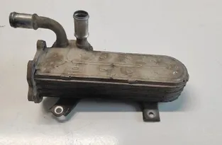 VOLKSWAGEN Golf 4 generation (1997-2006) Ψύκτη EGR 3210275,038131513AD 17089450