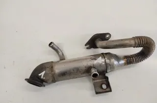 FORD Focus 1 generation (1998-2010) Ψύκτη EGR 21928764