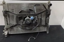 DACIA Dokker 1 generation (2012-2024) Ραδιατόρας ανεμιστήρα ψύξης κινητήρα 214810048R 33126662