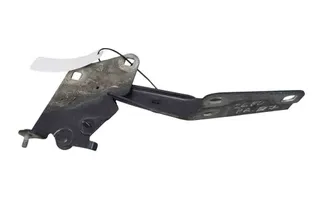 RENAULT Megane 3 generation (2008-2020) Δεξιός Τσουκνίδα Καπό 654000003R 32594448