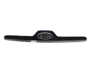 KIA Sportage 2 generation (2004-2010) Διακοσμητικό φως πινακίδας 873110Z110 34835021