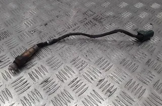 NISSAN Almera Tino 1 generation  (2000-2006) Αισθητήρας λάμδα οξυγόνου 0258006462 12165875