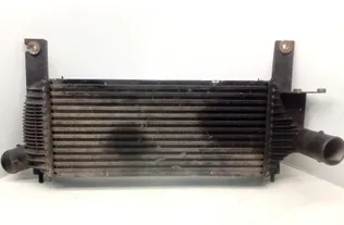 NISSAN Pathfinder R51 (2004-2014) Ραδιατόρας μεταξοκλαδίσματος F6864 27569017