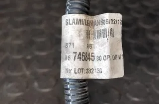 CITROËN C4 2 generation (2010-2024) Πλεξούδα καλωδίου 9674684580 33174816