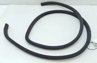 LEXUS LS 3 generation (2000-2006) Καουτσούκ μπροστινής δεξιάς πόρτας 30247481
