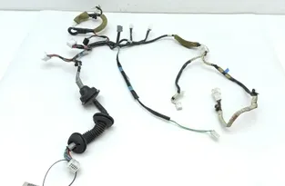 LEXUS LS 3 generation (2000-2006) Καλώδια μπροστινής δεξιάς πόρτας 8215150260,00007 30248545
