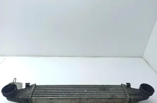 MERCEDES-BENZ E-Class W211/S211 (2002-2009) Ραδιατόρας μεταξοκλαδίσματος A2115001102 34642186