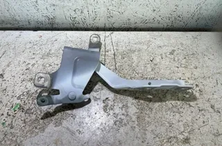 RENAULT Clio 4 generation (2012-2020) Δεξιός Τσουκνίδα Καπό 65400253R 35007067